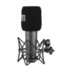 Takstar SM10 Unidirectional Recording Microphone