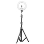 21 Inch Ring Light